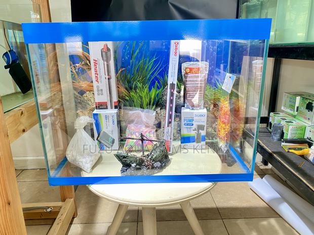 Peaceful Views in Every Bubble From Awide Range of Aquariums
