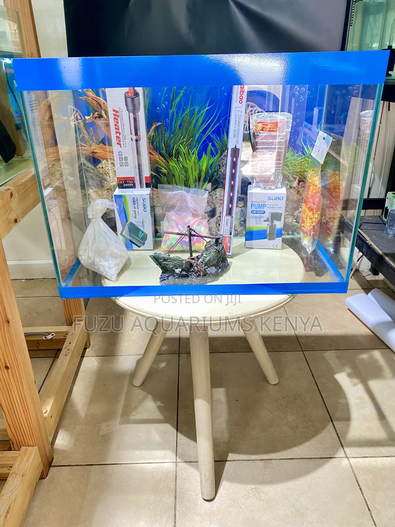 Vibrant 60l Aquarium – Just Add Water!