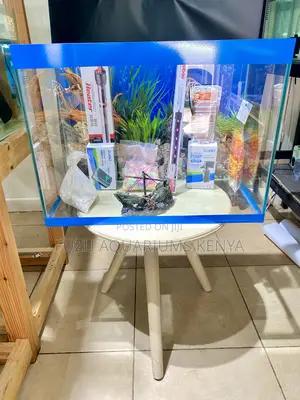 Vibrant 60l Aquarium – Just Add Water!