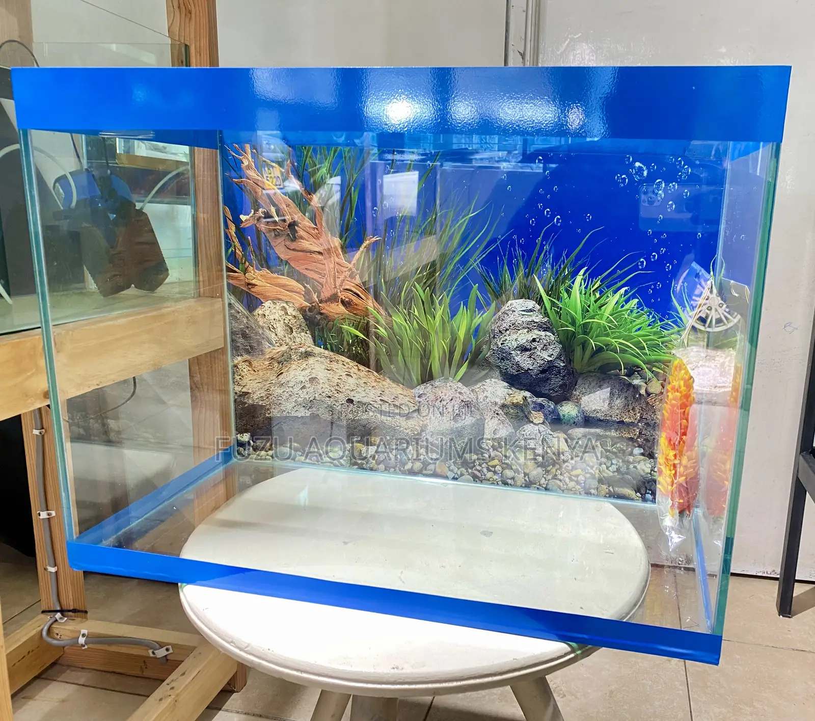 Your Underwater World Awaits, Choose From These Aquariums