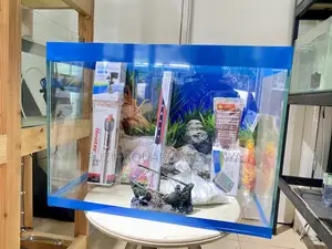 Fully Equipped Fish Tank – No Hassle, Just Beauty