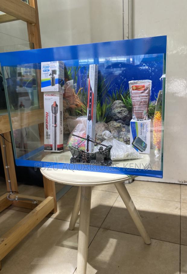 Make Fishkeeping Easy Fun From a Range of Aquariums