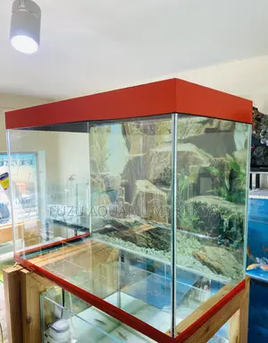 Elegant Aquarium for Every Space