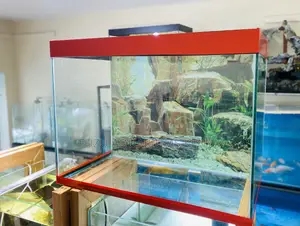 Add Some Splash to Your Décor With Stunning Aquarium