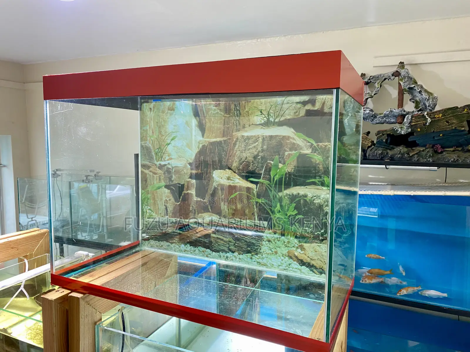 A Calm Escape in Your Home From a Range of Aquariums
