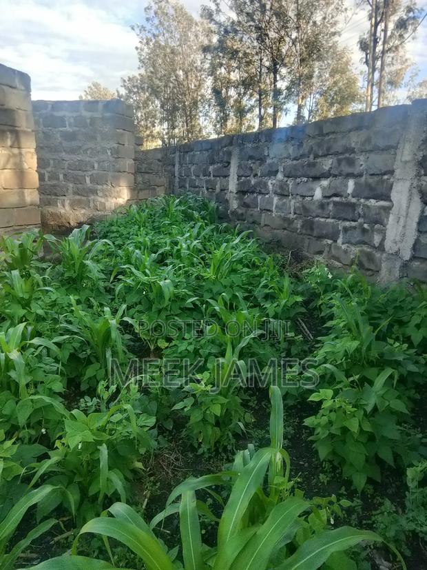 Quick Sale - thumbnail 3