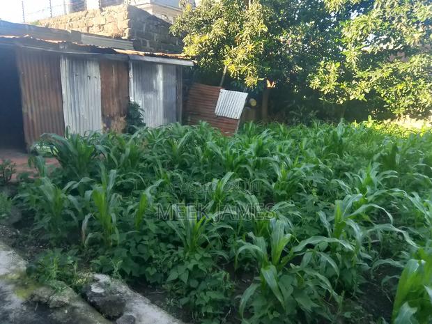 Quick Sale - thumbnail 6