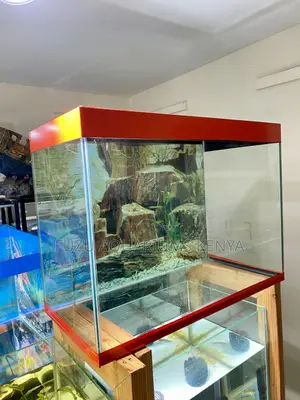 Affordable Elegance in a 2ft Aquarium