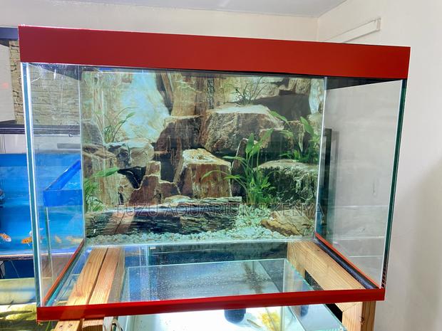 Beautiful Aquarium That’S Ready to Go