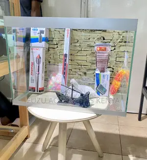 Instant Aquarium – All Essentials Included