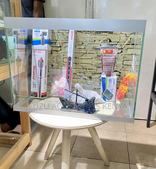 Instant Aquarium – All Essentials Included - main view