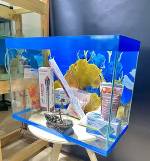 All-in-One Aquarium With Live Fish