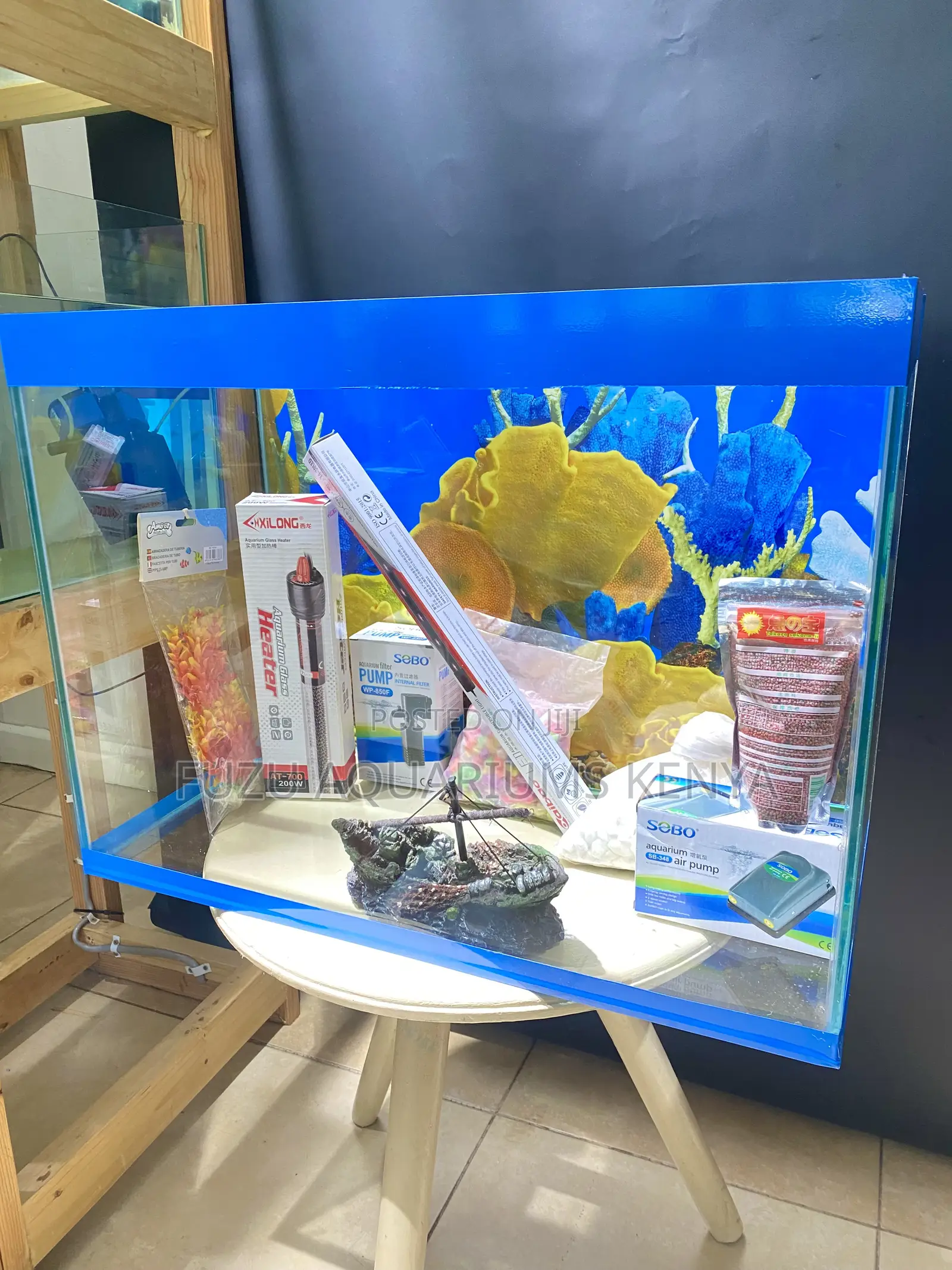 2ft Aquarium That Wows Every Time