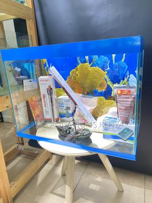 Create Your Own Underwater Scene Using This Aquarium - thumbnail 2