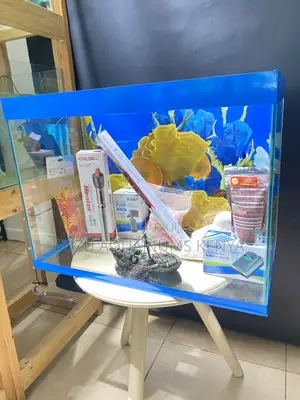 Create Your Own Underwater Scene Using This Aquarium