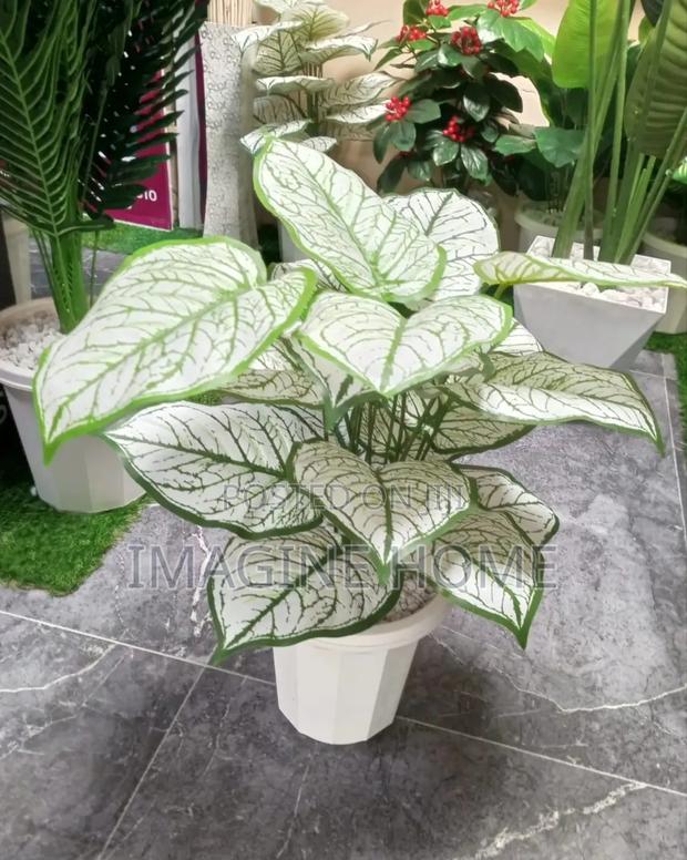 White Shade Artificial Plants - main view