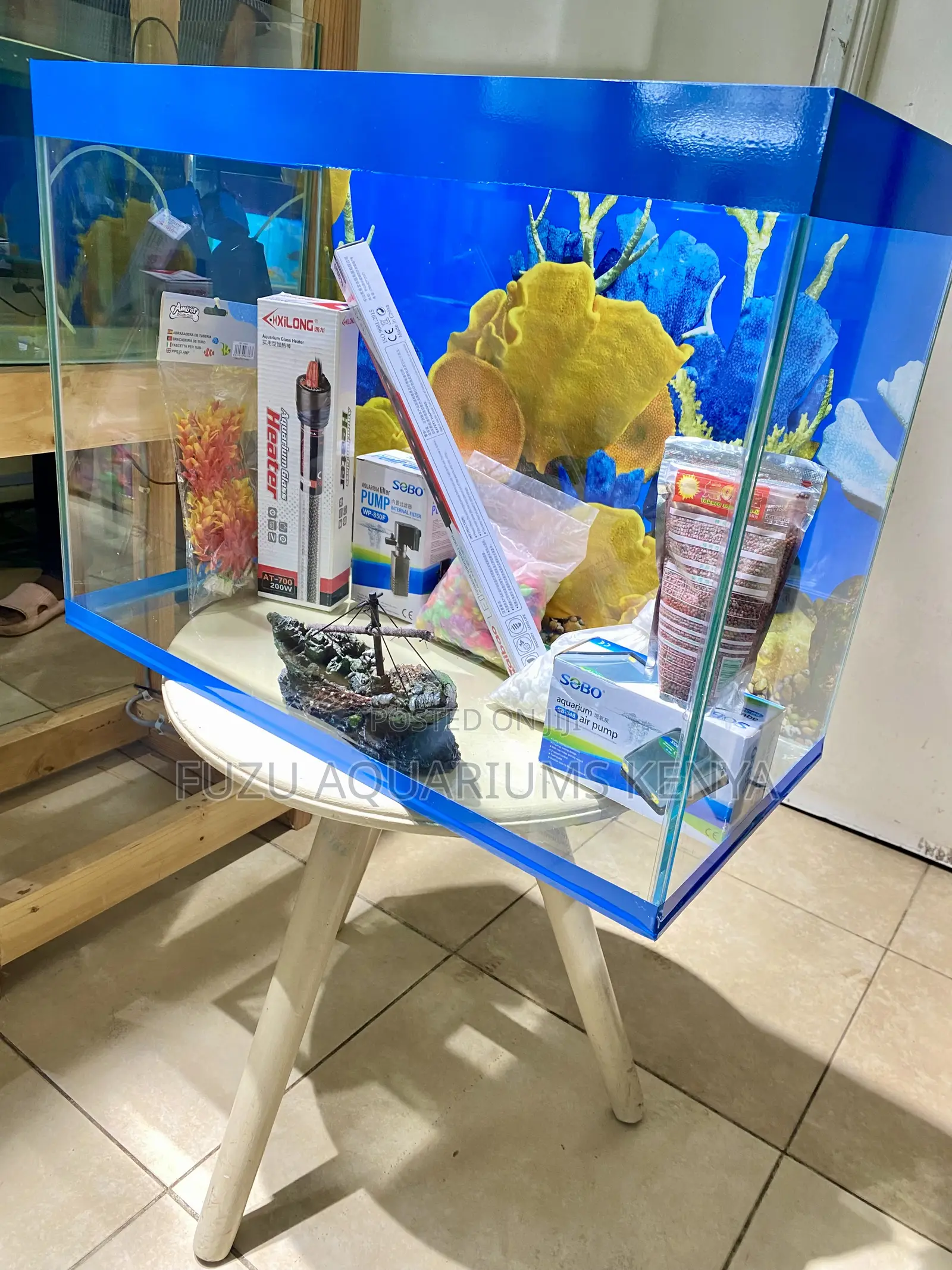 Stylish Aquarium With Real Fish Included 60l