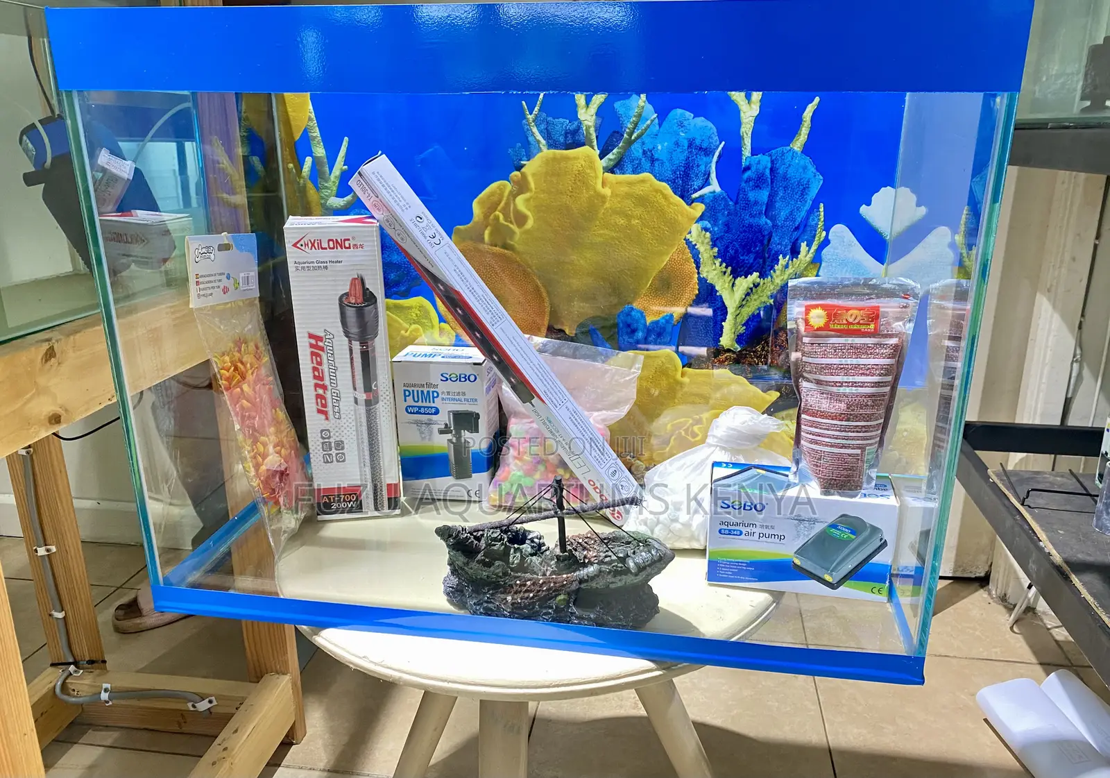 Breathe Life Into Any Room With an Aquarium