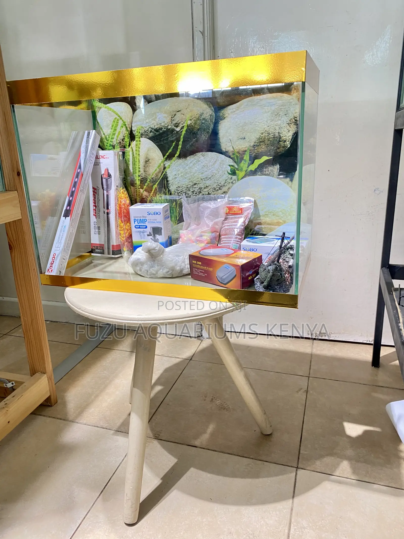 Compact Size, Big Impact Aquarium