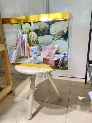 Compact Size, Big Impact Aquarium