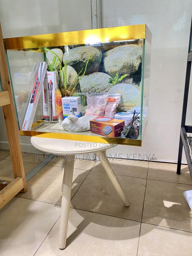 Compact Size, Big Impact Aquarium