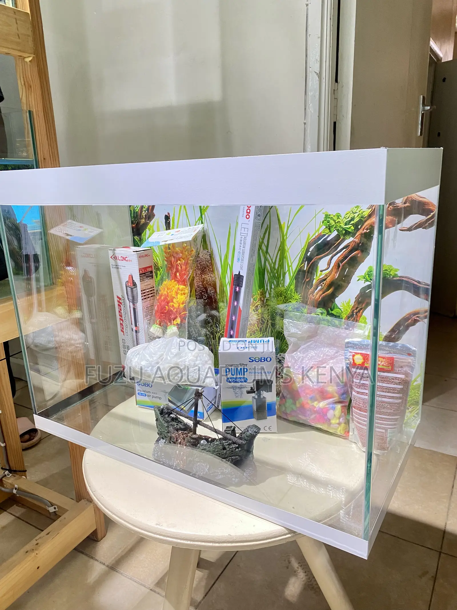 Bring Calm Home With a Fully Stocked Aquarium