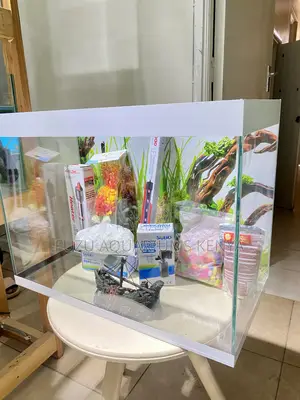 Your Peaceful Retreat – Aquarium Edition