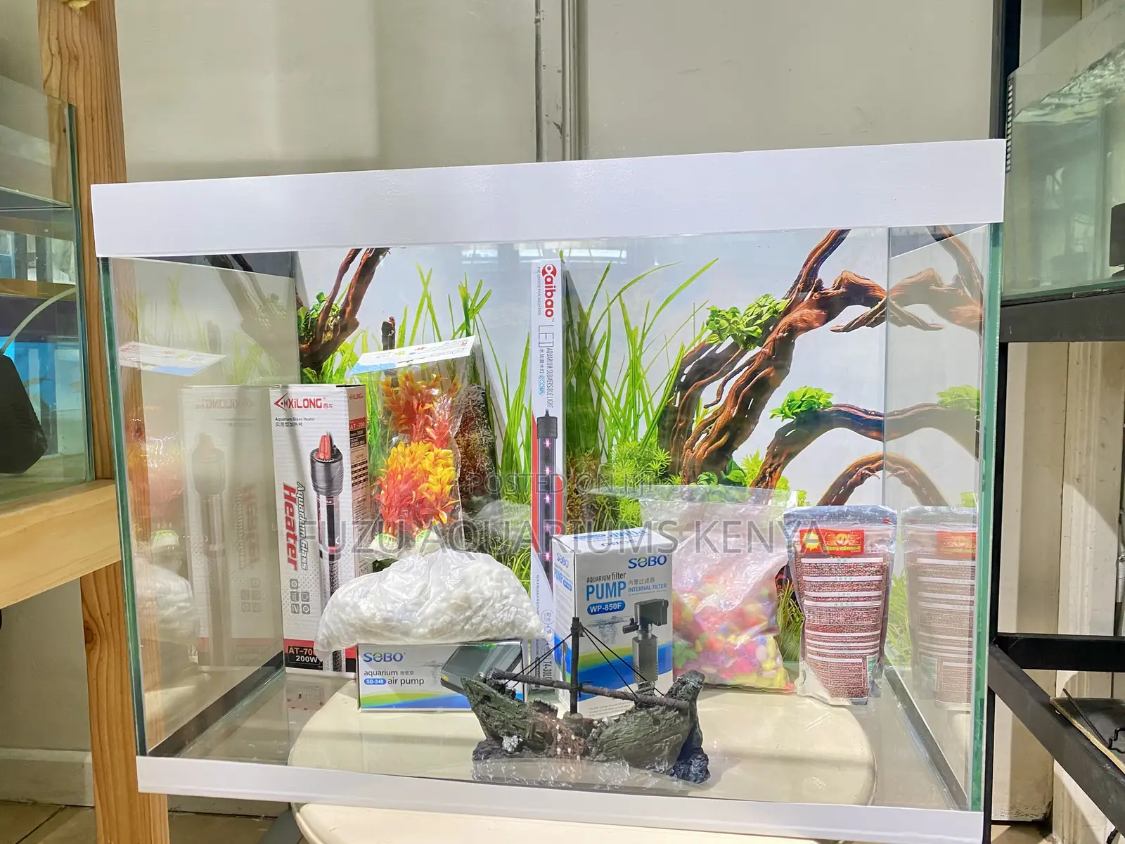 Make a Statement With This Aquarium