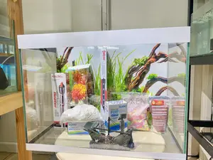 Make a Statement With This Aquarium