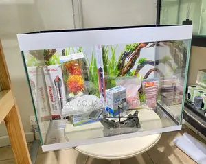 Watch Life Swim by in Styled Aquarium