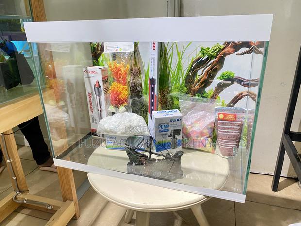 No Setup Stress – All-Inclusive Aquarium