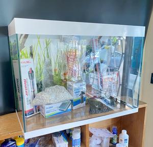 The Aquarium That Has It All and Still Compact