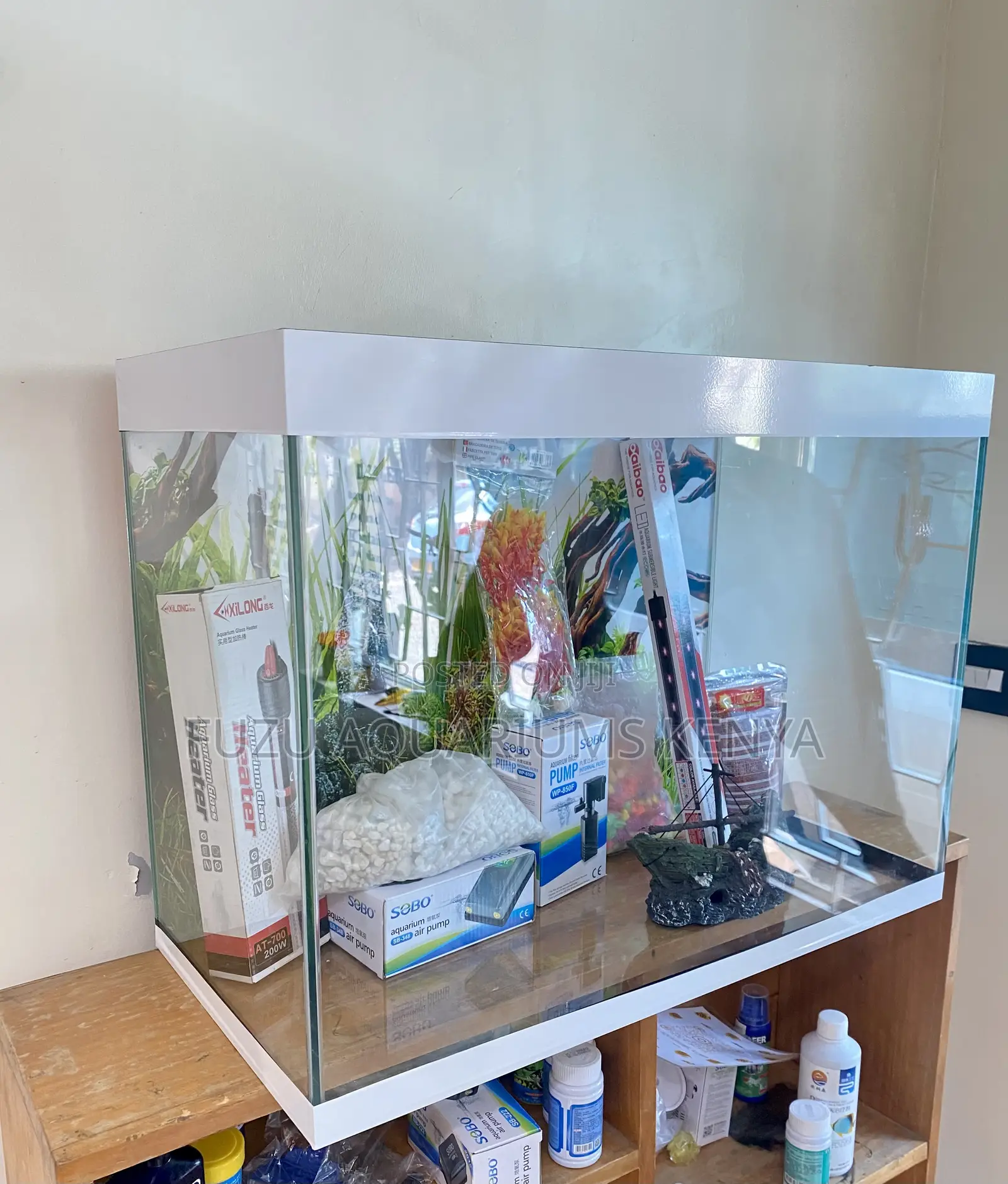 Live Aquarium Joy Delivered
