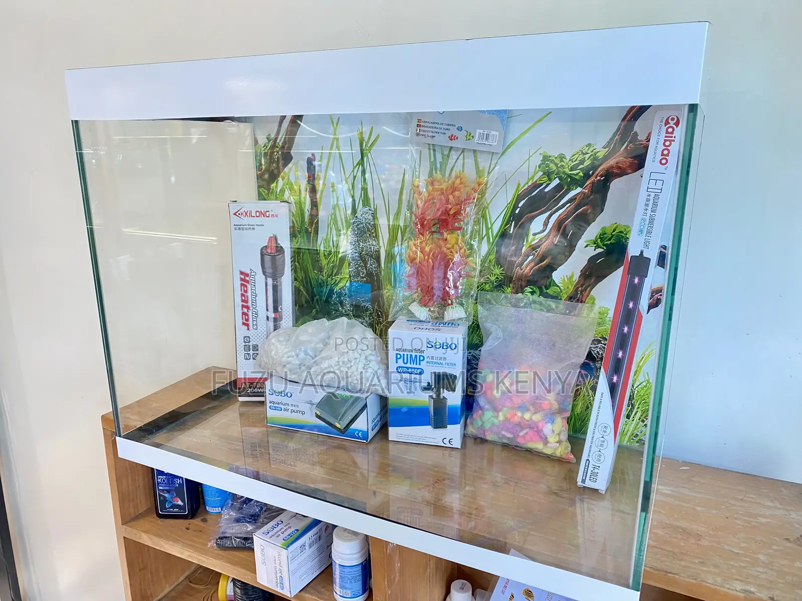 Create a Bubble of Peace in Your Home Using These Aquariums