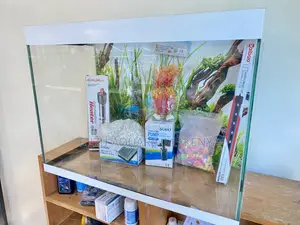 Create a Bubble of Peace in Your Home Using These Aquariums