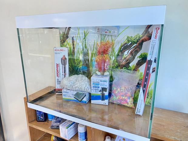 Create a Bubble of Peace in Your Home Using These Aquariums