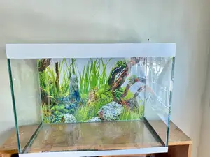 Perfect Aquarium for Busy Lifestyles