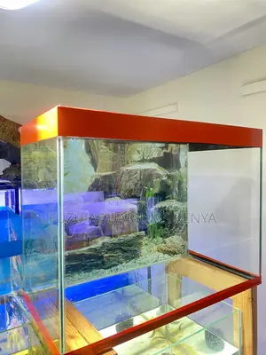 Tiny Ocean, Big Beauty Aquarium