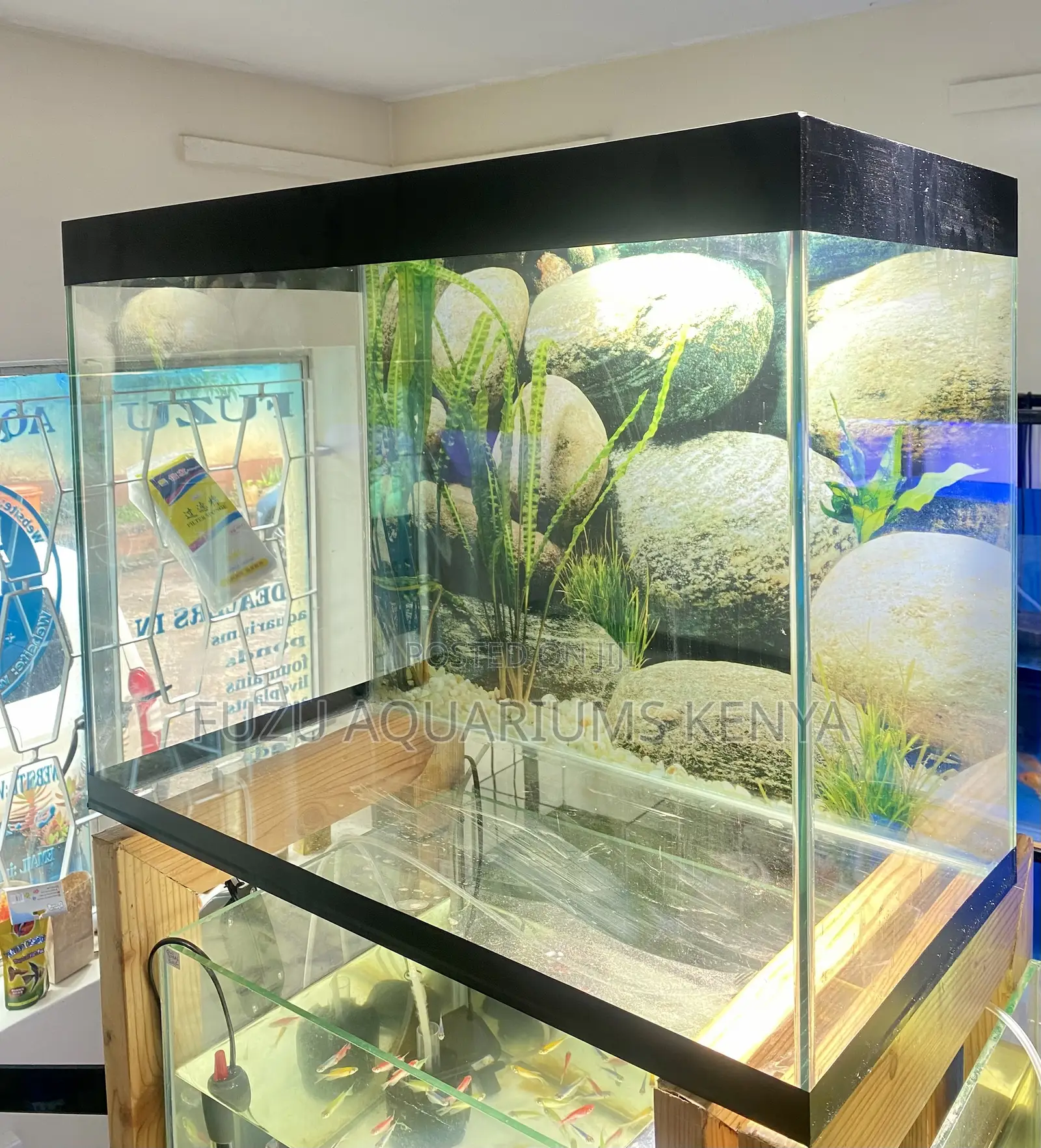 Low Maintenance, High Style Aquarium