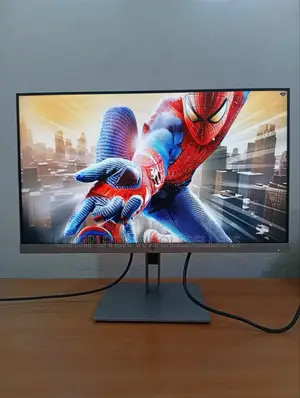 Hp LCD E243 Monitor