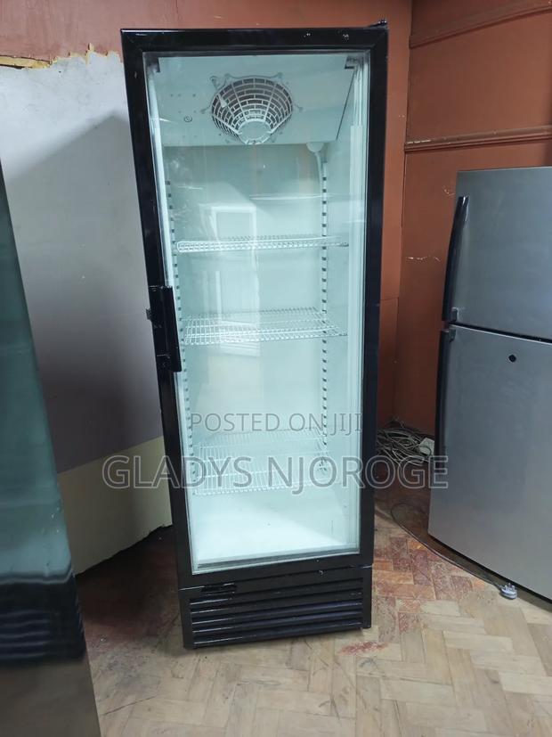 Black Fregorex Fridge 400l