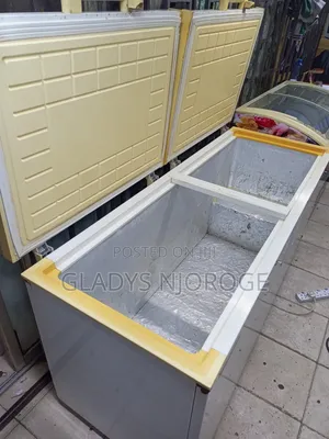 Premier Deep Freezer White