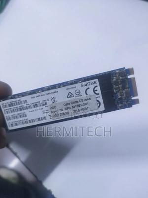 256 SSD Double Notch M.2 Sandisk - thumbnail 2