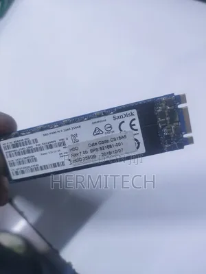 256 SSD Double Notch M.2 Sandisk