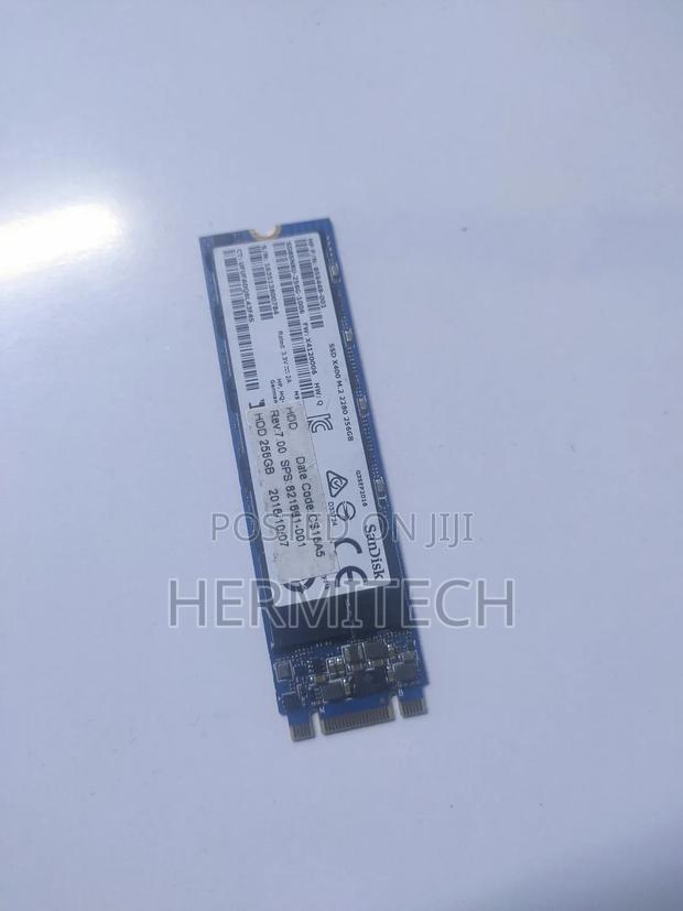 256 SSD Double Notch M.2 Sandisk - thumbnail 4