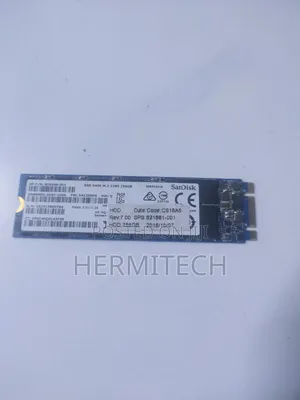 256 SSD Double Notch M.2 Sandisk