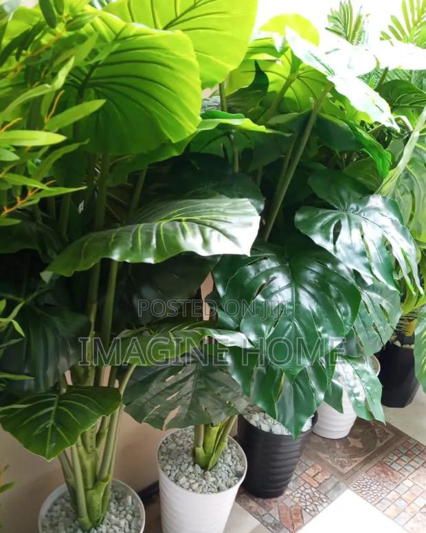 Artificial Plants Decor