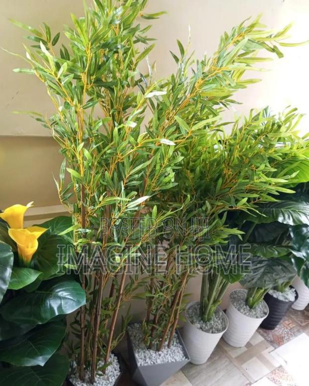Bamboo Plant, Artificial Plants - main view