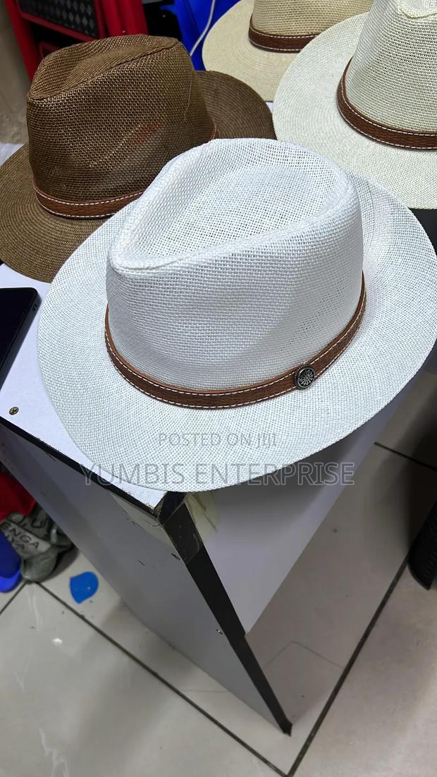 Panama Hats for Men at 800 - thumbnail 2