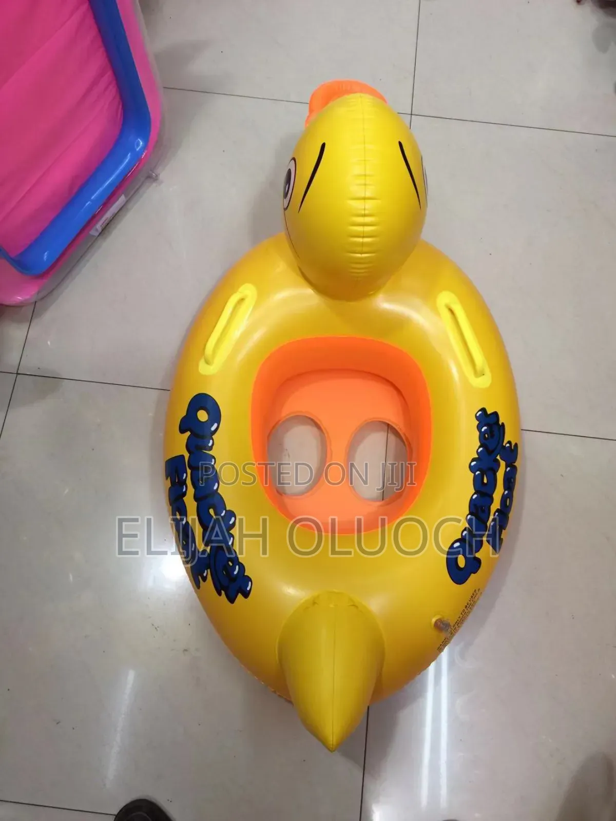Swimming Ducks.